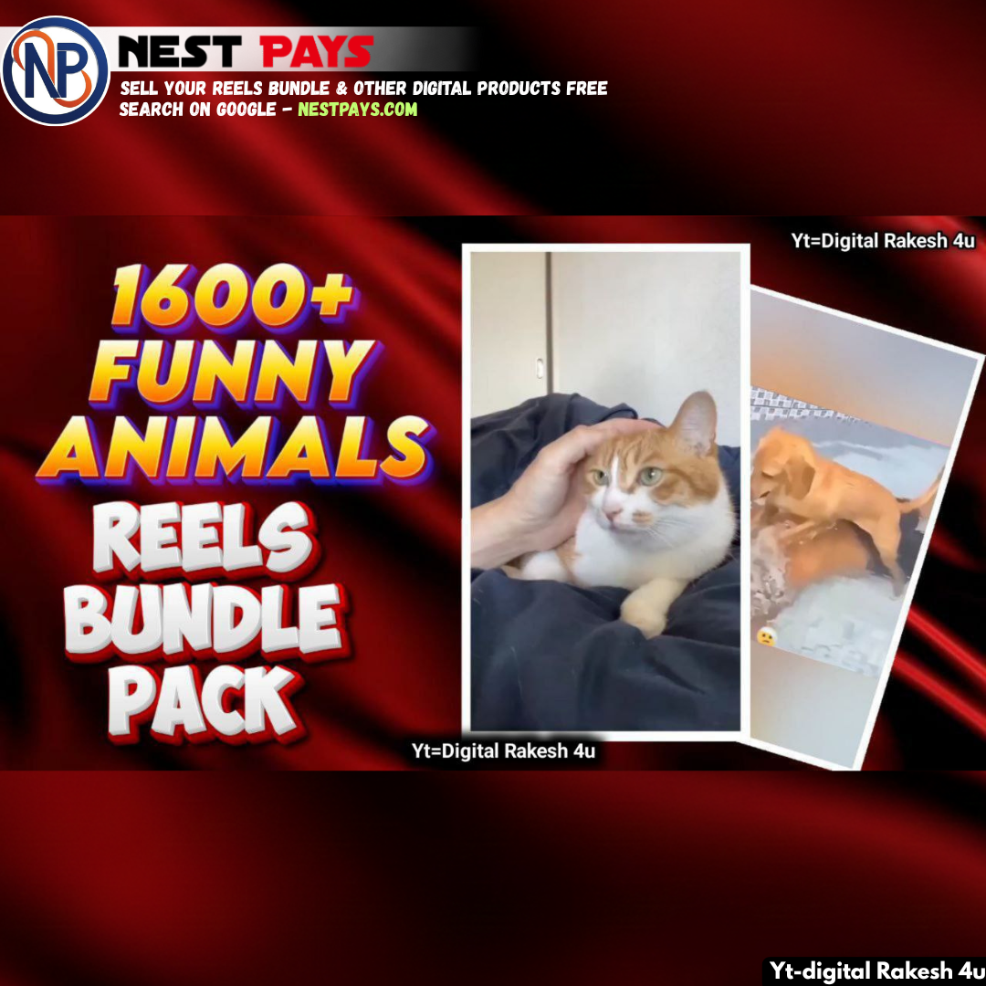 Funny Animals Reels Bundle