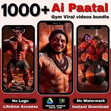 Patak lok Reels Bundle