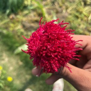 Under Standing of Instagram Reel