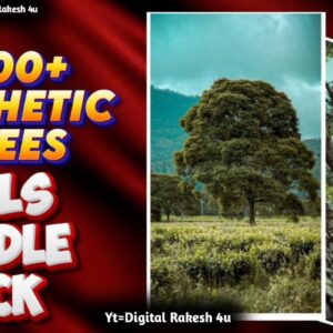 1200+ asthetic trees reels bundle pack