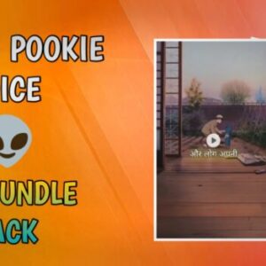 Mad scientist Pookie voice Reels Bundlle