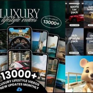 ✨ Luxury Lifestyle Videos ✨