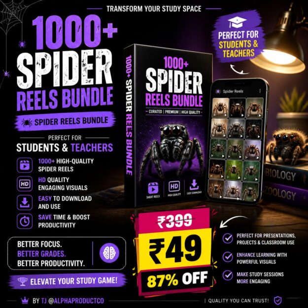 Spiderman Reel Bundle π·οΈ