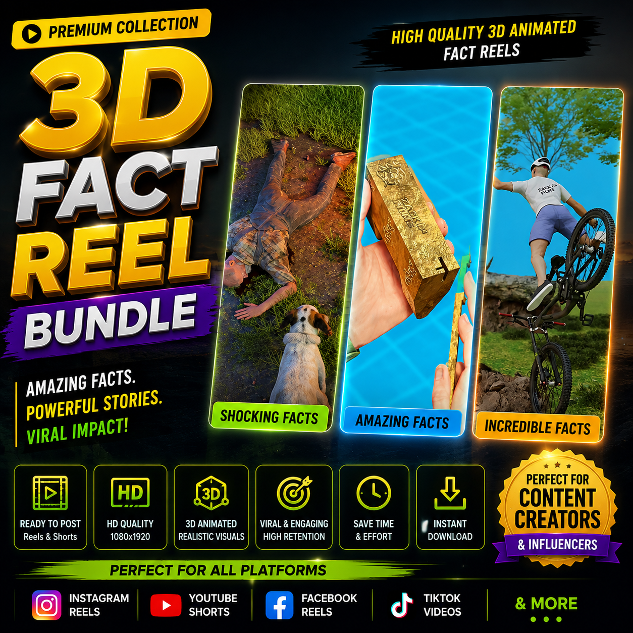 3d Fact Reel Bundle